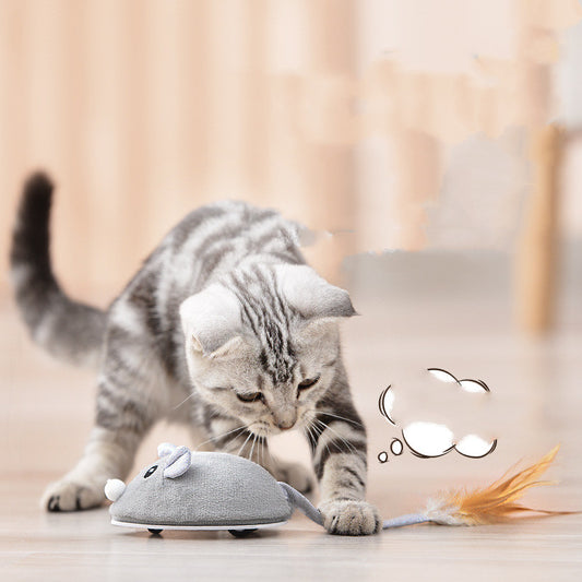 Pet Cat Toy Crawling Mouse With USB Charging - DCCOMPUTERS